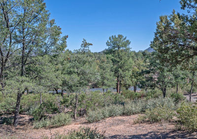 2500 E Feather Plume Ln Payson, AZ 85541