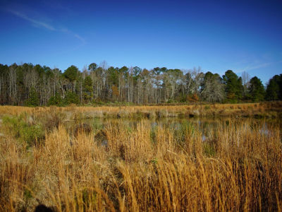 111 Old Wagon Ln LOT 2 Sanford, NC 27332