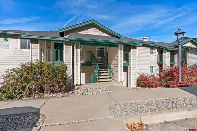 1100 Goeglein Gulch Rd #233 Durango, CO 81301