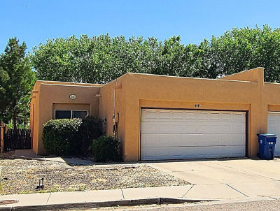 441 Colonial Ave SW Los Lunas, NM 87031