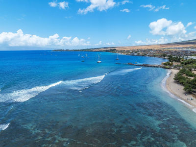 1184 Halepaka Pl Lahaina, HI 96761