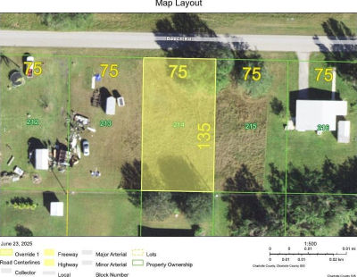 30073 Beech Rd LOT 214 Punta Gorda, FL 33982