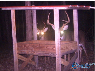 Upper Hurricane Rd New Market, AL 35761