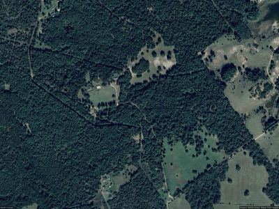 0 Free Stone Country #273 Oakwood, TX 75855