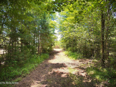 Marcrom Rd Morrison, TN 37357