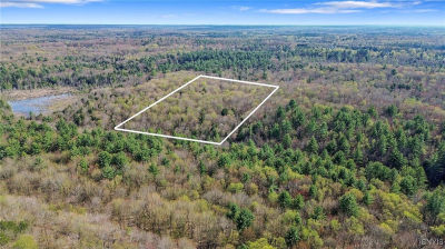 0 Old State Rd #32 Williamstown, NY 13493