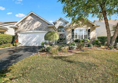 17053 Mendota Dr Lockport, IL 60441