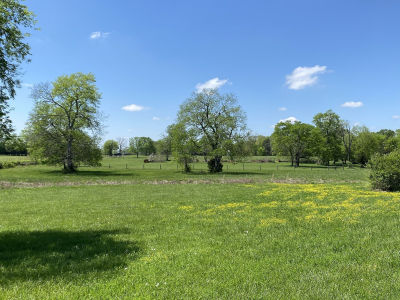 0 Midland Fosterville Rd LOT 2B Bell Buckle, TN 37020
