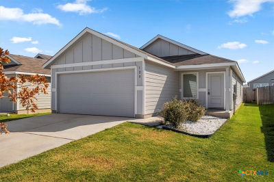 128 Hellcats Way Jarrell, TX 76537