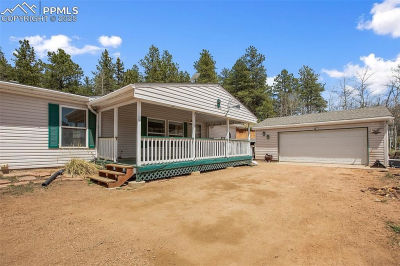 1011 W Bison Creek Trl Divide, CO 80814