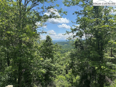 Tbd LOT 1 Mouth Of Wilson, VA 24363