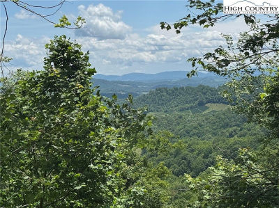 Tbd LOT 2 Mouth Of Wilson, VA 24363