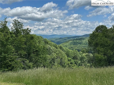 3 Mayito Ln Mouth Of Wilson, VA 24363