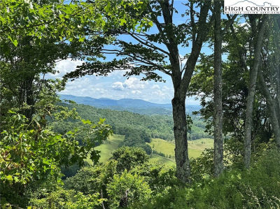 4 Mayito Ln Mouth Of Wilson, VA 24363