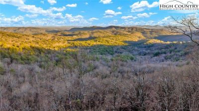 Tbd Lump Rd Purlear, NC 28665