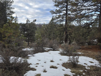 Jaguar Ln LOT 7 & 8 Bonanza, OR 97623