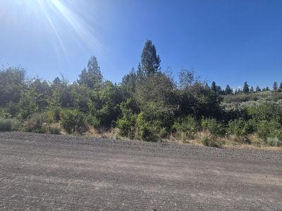 Wrightwood Dr LOT 28 Chiloquin, OR 97624
