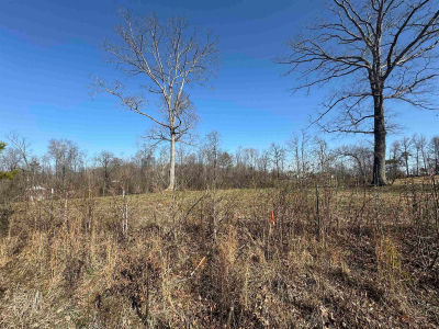 0 Cox Rd Killen, AL 35645