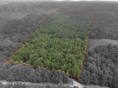 0 Posey Loop Tuscumbia, AL 35674