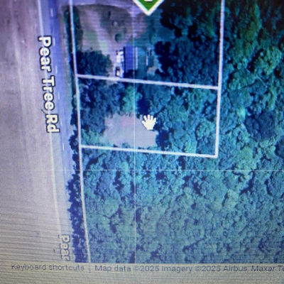 LOT 1 Pear Tree Rd Millsboro, DE 19966