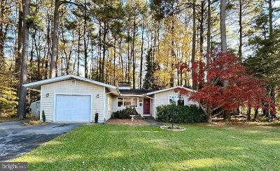 117 W Adams St Georgetown, DE 19947