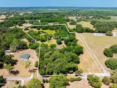 8800 S Steed Ter Floral City, FL 34436