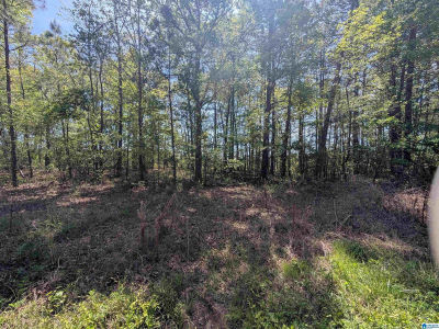 0 Paradise Ave #11 Gadsden, AL 35903