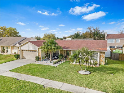 9724 Cypress Pond Ave Tampa, FL 33647