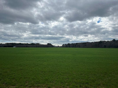 LOT-16A Miles Wharf Rd Exmore, VA 23350