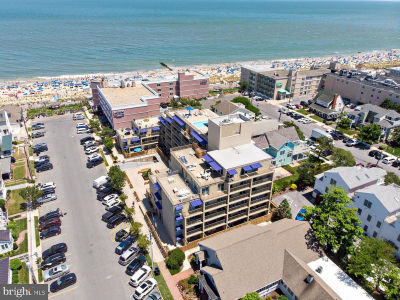 8 Olive Ave APT 102 Rehoboth Beach, DE 19971