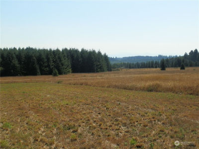 0 Xx Maxine Dr Winlock, WA 98596