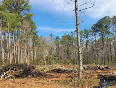 0 Maple Trl Sharpsburg, GA 30277