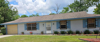 235 Rockmoore Ct Deland, FL 32720