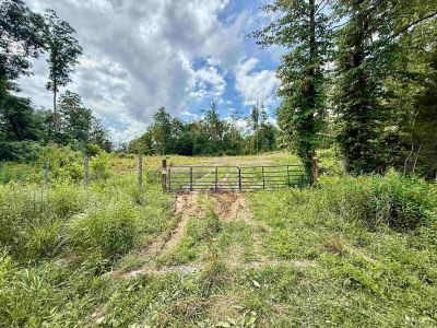 1481 Kellacey Rd West Liberty, KY 41472