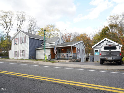 552 Mountain Ave Purling, NY 12470