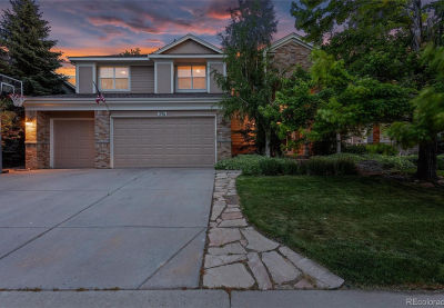 396 Winterthur Way Highlands Ranch, CO 80129
