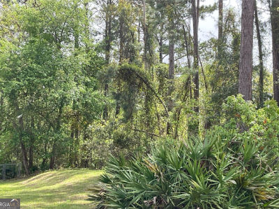 Sailfish Dr SE Darien, GA 31305