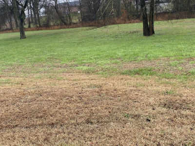 109 Mimi Cir Pulaski, TN 38478