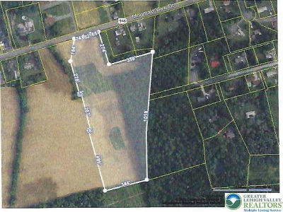 4083 Mountain View Dr Danielsville, PA 18038