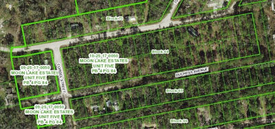 13027 Duchess Ave LOT 41 New Pt Richey, FL 34654