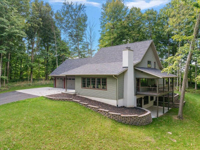 8806 Lakewood Trl Berrien Center, MI 49102