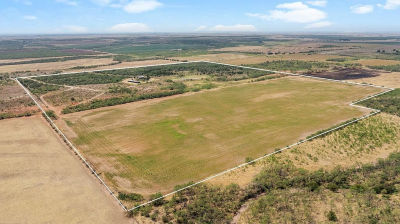 1775 Private Road 3611 Winters, TX 79567