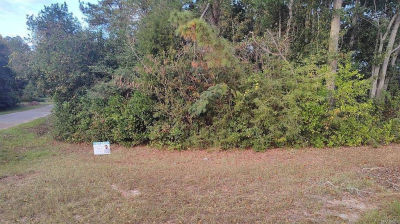 0 Charlie St Opp, AL 36467