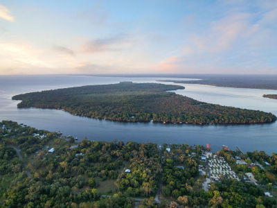 356 Drayton Island Rd Georgetown, FL 32139