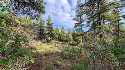 814 Ginger Cir Pagosa Springs, CO 81147