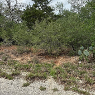 69 Kaelepulu Dr Bastrop, TX 78602