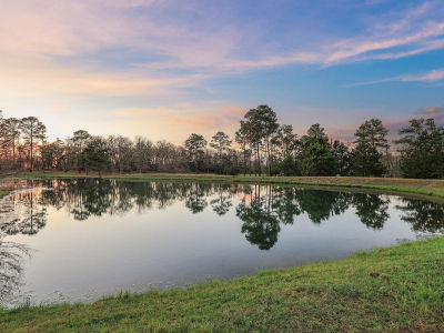 546 McAllister Rd Bastrop, TX 78602