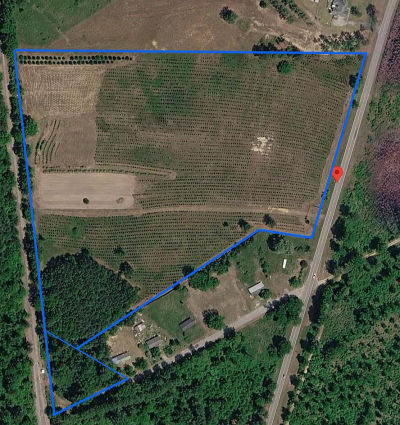 3120 Savannah Hwy North, SC 29112