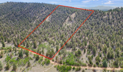 1833 Fitzsimmons Rd Hartsel, CO 80449