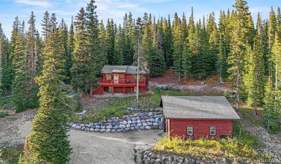 231 Kimmes Ln Breckenridge, CO 80424